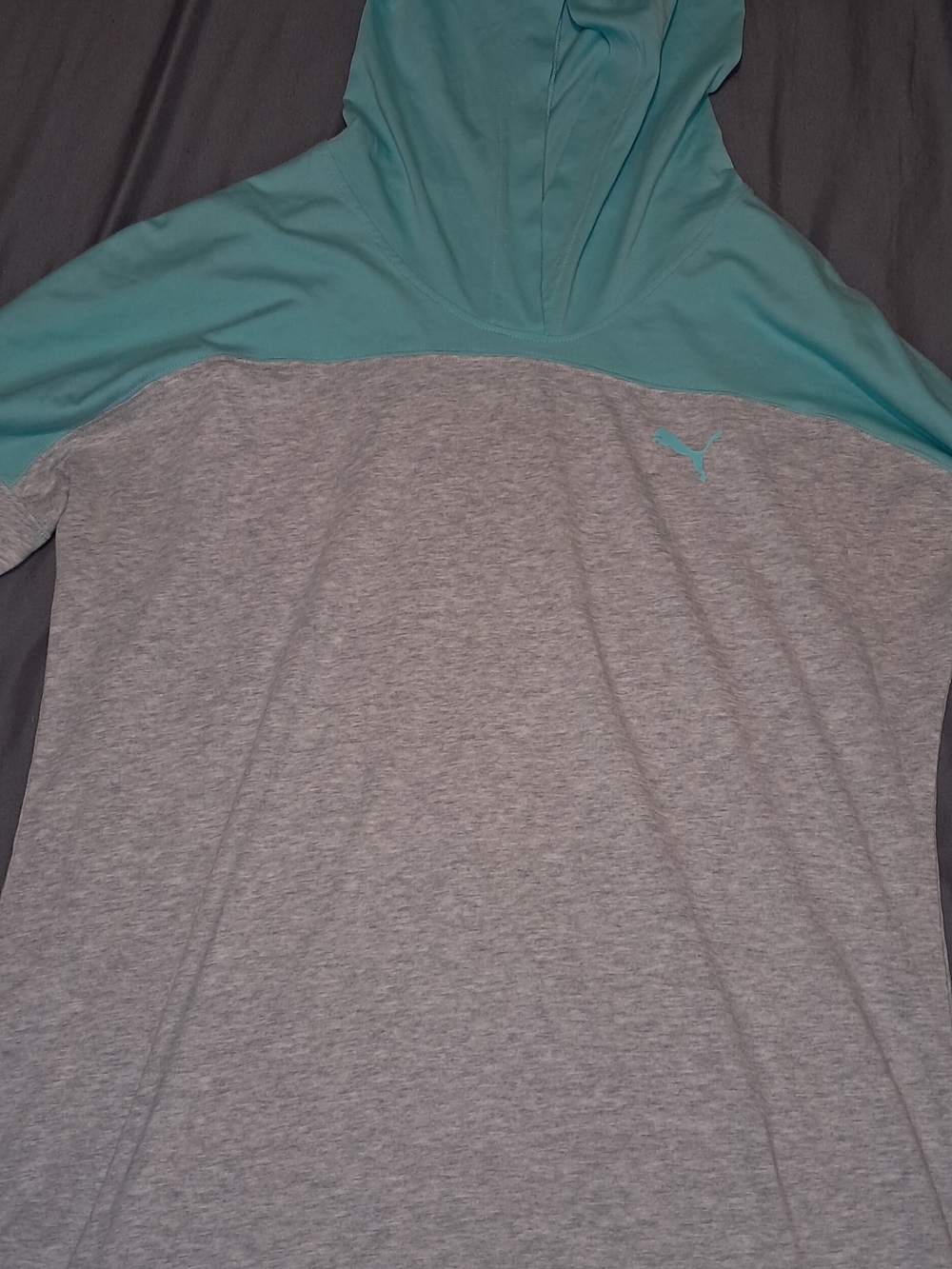 Puma Teal and Light Gray Women's Hooded Pullover